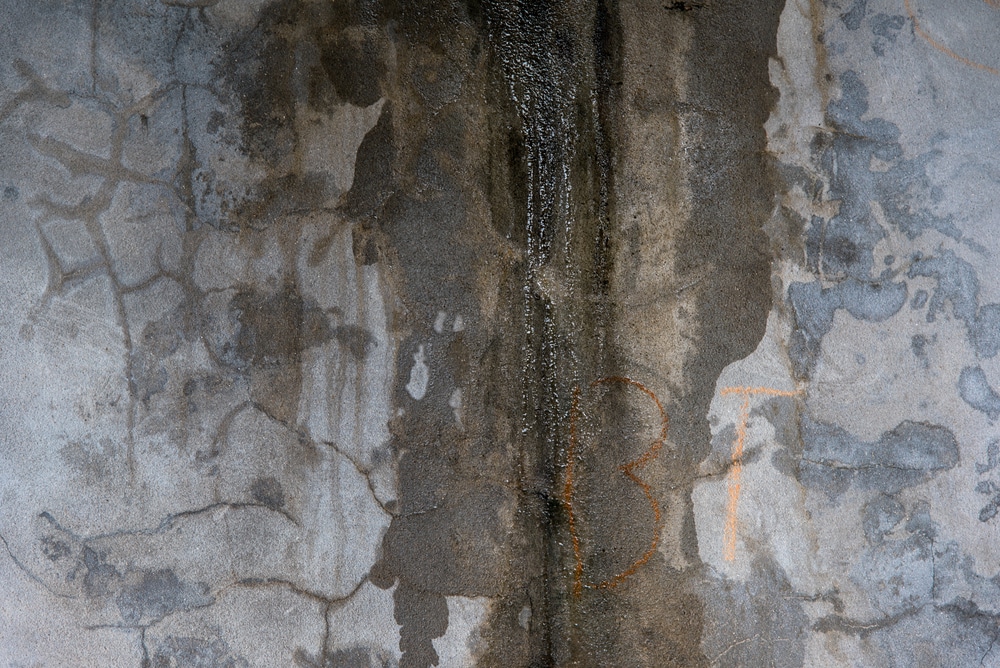 Concrete,Wall,With,Water,Leakage